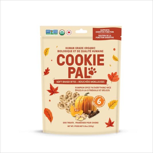 Pumpkin Spice 'N Everything Nice