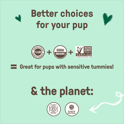 Gingerbread Soft Baked Bites